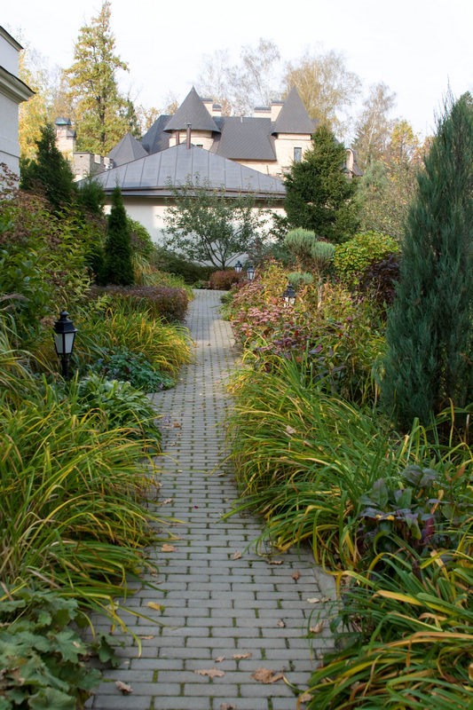 imgi_11_Light_shade_autumn10 imgi_11_Light_shade_autumn10
