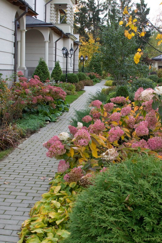 imgi_13_Light_shade_autumn12 imgi_13_Light_shade_autumn12