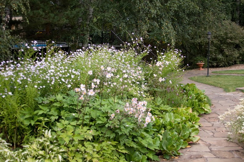 imgi_19_Rus_Ita_summer50