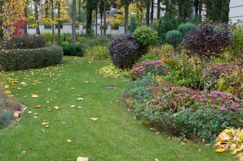 imgi_3_Light_shade_autumn2 imgi_3_Light_shade_autumn2