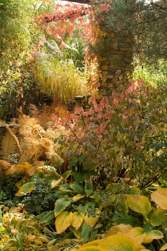 imgi_4_Rus_Ita_autumn04