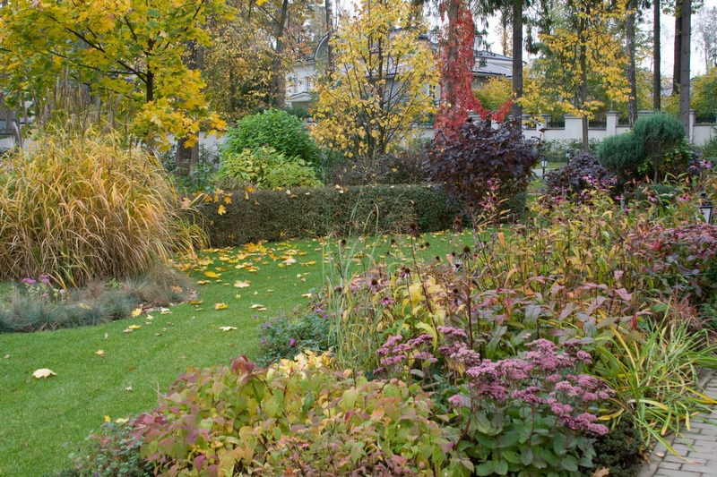 imgi_5_Light_shade_autumn4 imgi_5_Light_shade_autumn4
