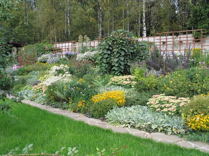 imgi_5_Rus_Ita_summer04