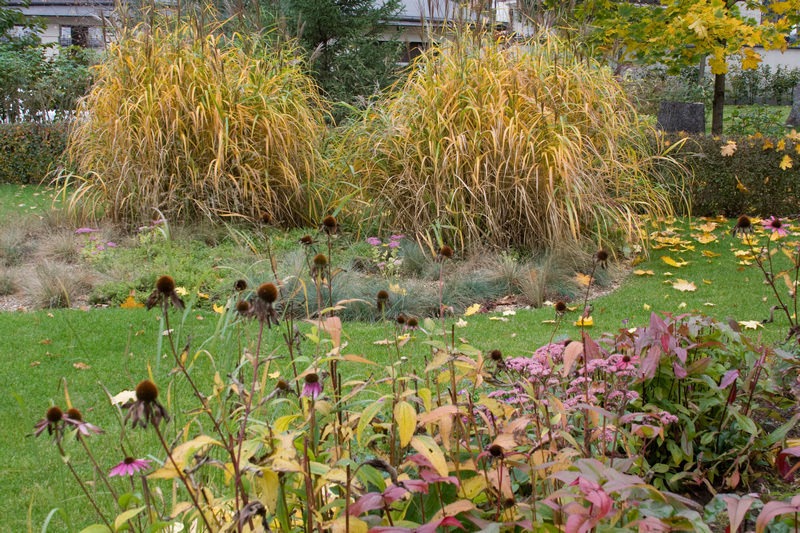 imgi_6_Light_shade_autumn5 imgi_6_Light_shade_autumn5