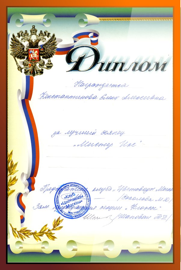 Diplom40 Diplom40