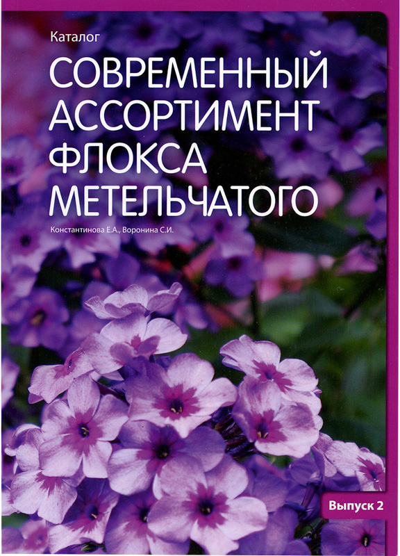 Phlox_assortment_2 Современный ассортимент флокса метельчатого. Выпуск 2
