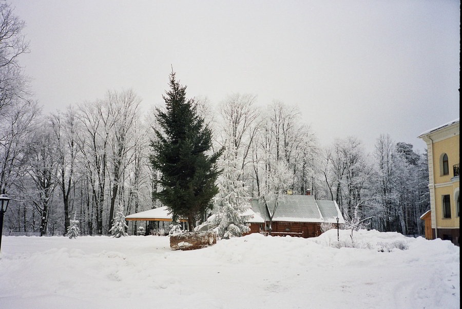 imgi_3_Timber04