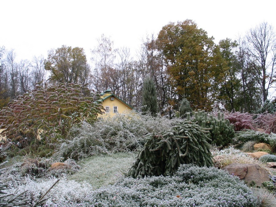 imgi_9_Rokarij08
