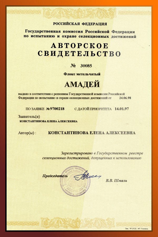 Amadeus_diploma