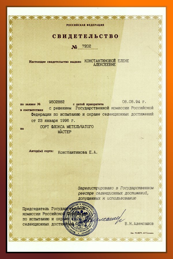 Master_diploma